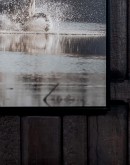 Unbridled Motion Framed Artwork