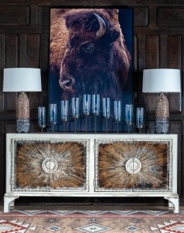 Watchful Eye Bison Artwork