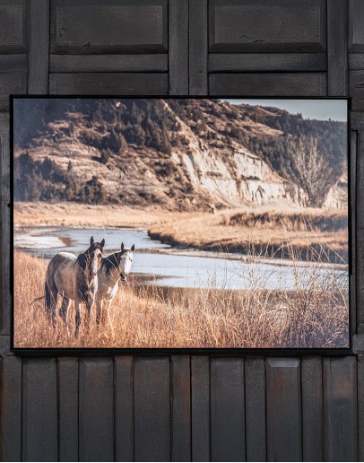 Wild And Free Framed Artwork