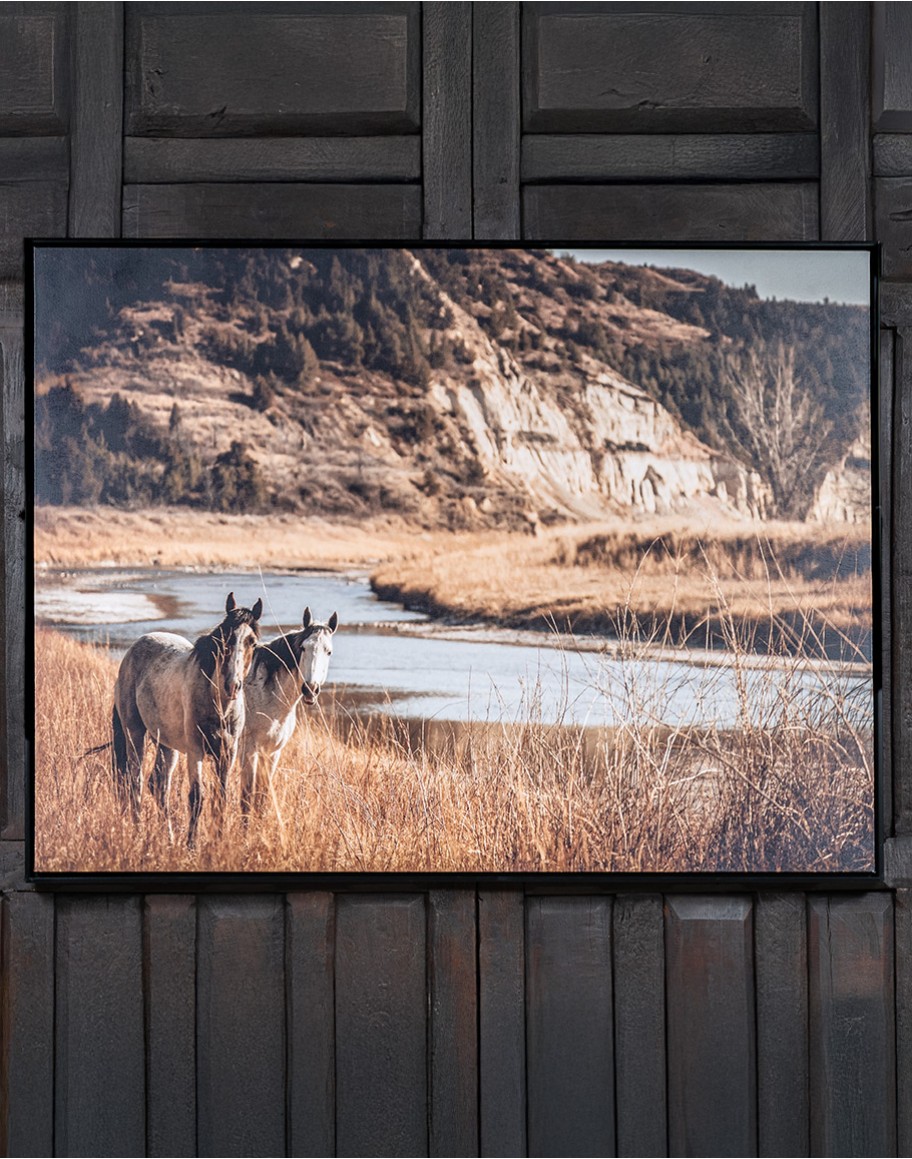 Wild And Free Framed Artwork