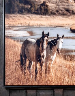 Wild And Free Framed Artwork
