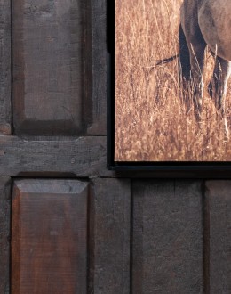 Wild And Free Framed Artwork