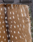 Saguaro Leather Dining Chair