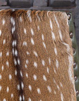 Saguaro Leather Dining Chair Saguaro Leather Dining Chair