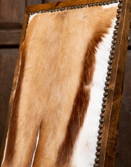 Springbuck Dining Chair Springbuck Dining Chair