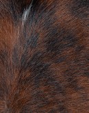 Theodore Cowhide Dining Chair