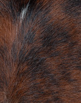 Theodore Cowhide Dining Chair Theodore Cowhide Dining Chair