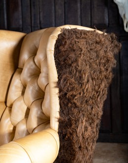 American Bison Chair American Bison Chair