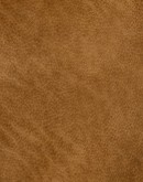Gentry Saddle Wingback Chair