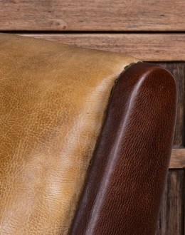 Lucky Leather Recliner