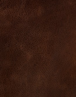 Bozeman Tufted Leather Loveseat