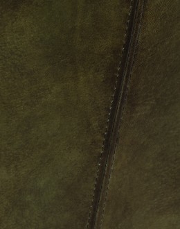 Cassidy Olive Leather Sofa