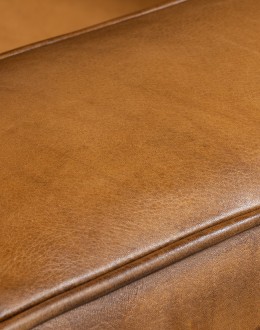 Painted Bison Leather Sofa