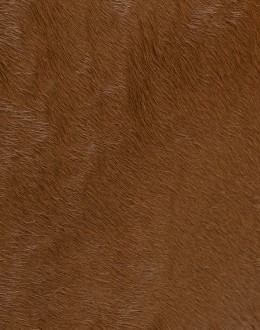 Langford Executive Desk Chair