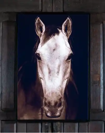 Vertical Tan Horse Frame Art featuring a highly detailed image of a Tan Horse against a stark black background, beautifully framed in a matte black frame.