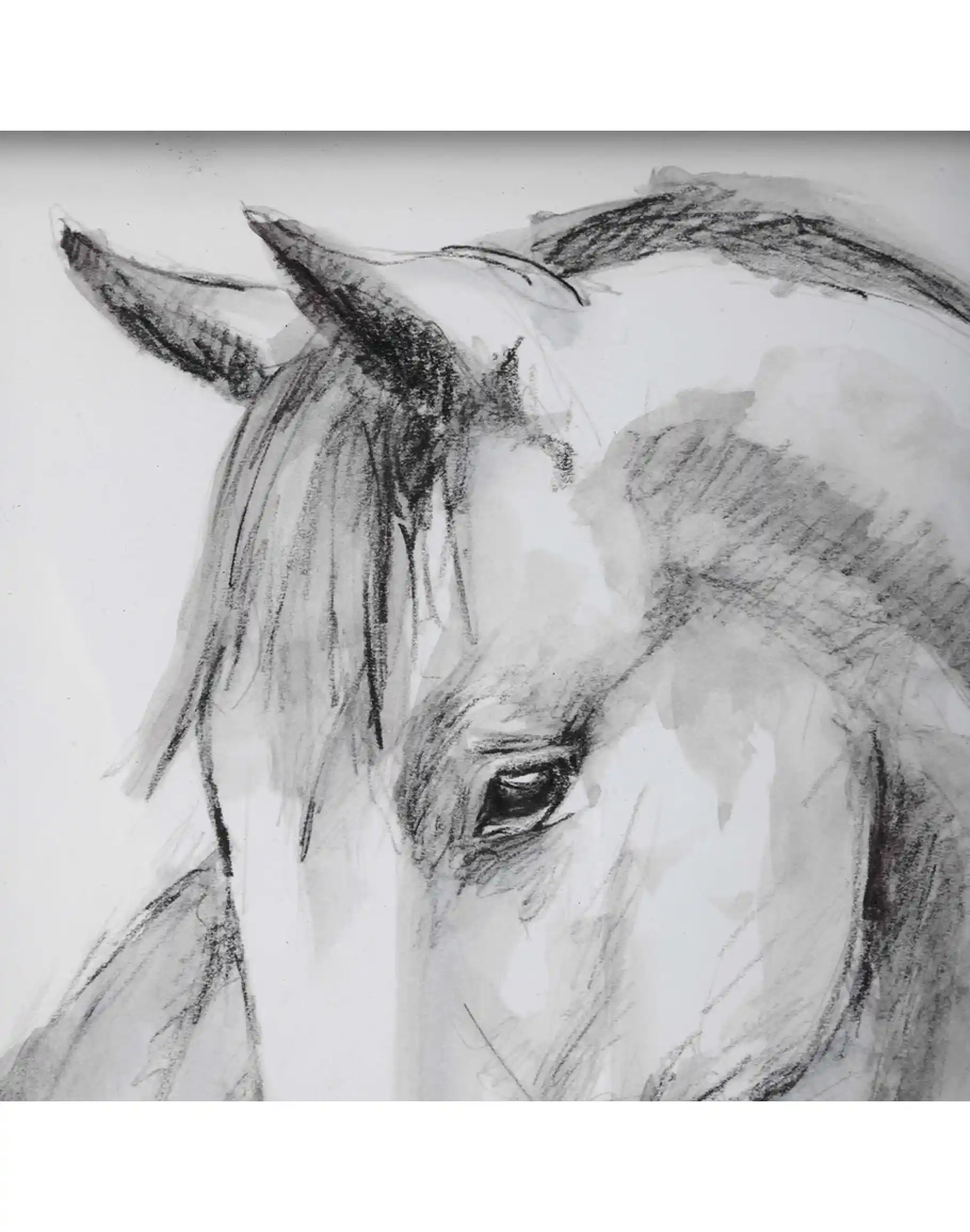 Equestrian Watercolor Framed Prints, S/2 - Image 3