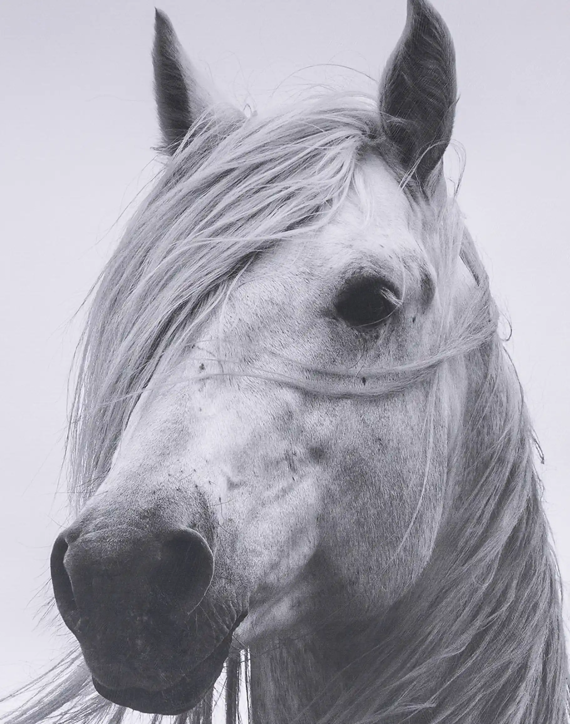Breeze Framed Art Print - Image 3