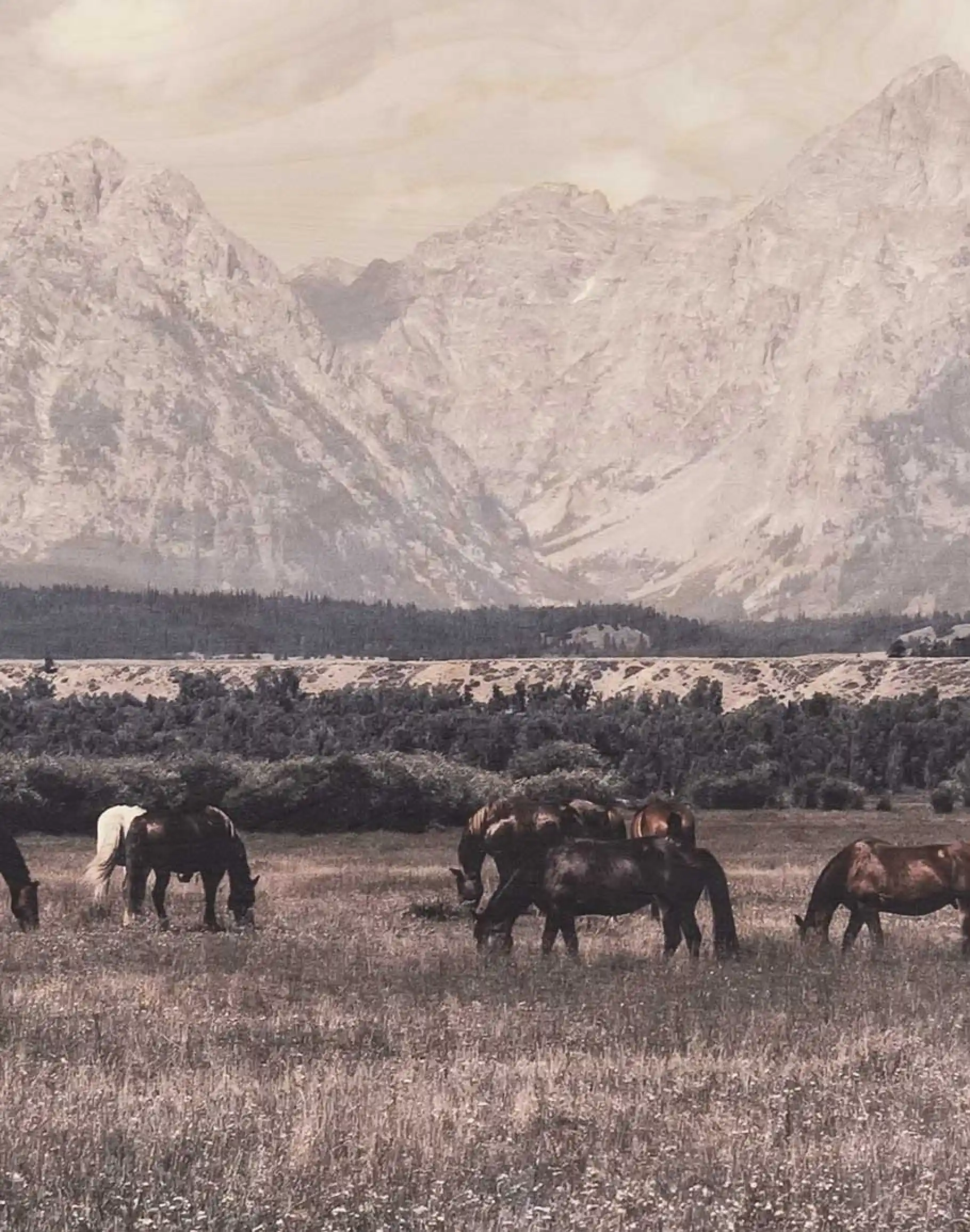 Majestic Horizon Framed Art - Image 3