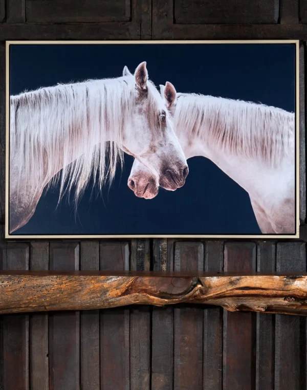 Mirrored Beauty Framed Print